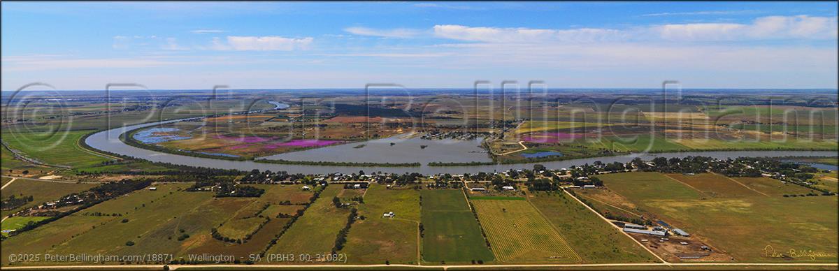 Peter Bellingham Photography Wellington - SA (PBH3 00 31082)